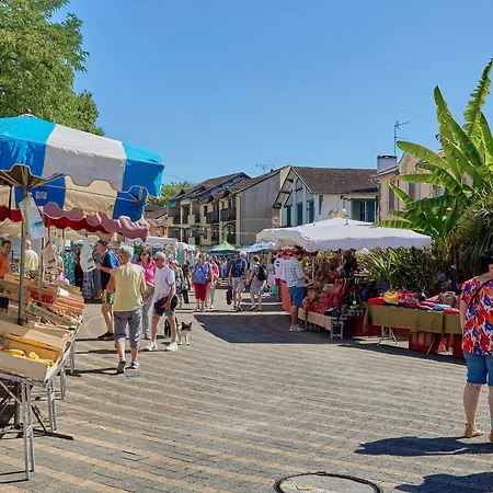 Lejlighed Sud Avec Balcon, Wifi Et Animaux Admis - Pour 2 Personnes - Fr-1-841-72 *